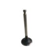 VÁLVULA DE ESCAPE DO MOTOR HONDA GX340 / GX390 14721-ZE3-000